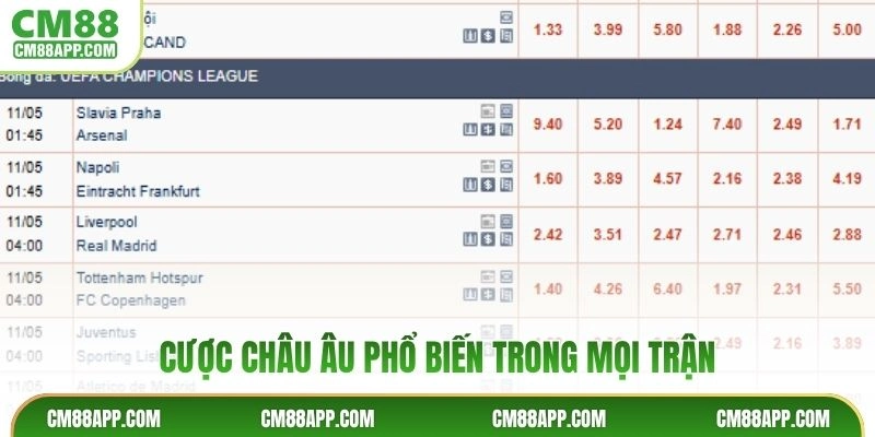 Cược châu Âu phổ biến trong mọi trận