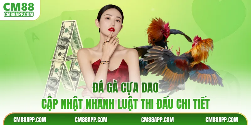 Đá Gà Cựa Dao - Cập Nhật Nhanh Luật Thi Đấu Chi Tiết