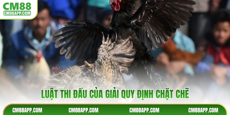 Luật thi đấu của giải quy định chặt chẽ