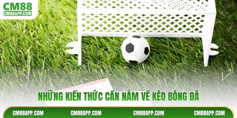 Những kiến thức cần nắm về kèo bóng đá